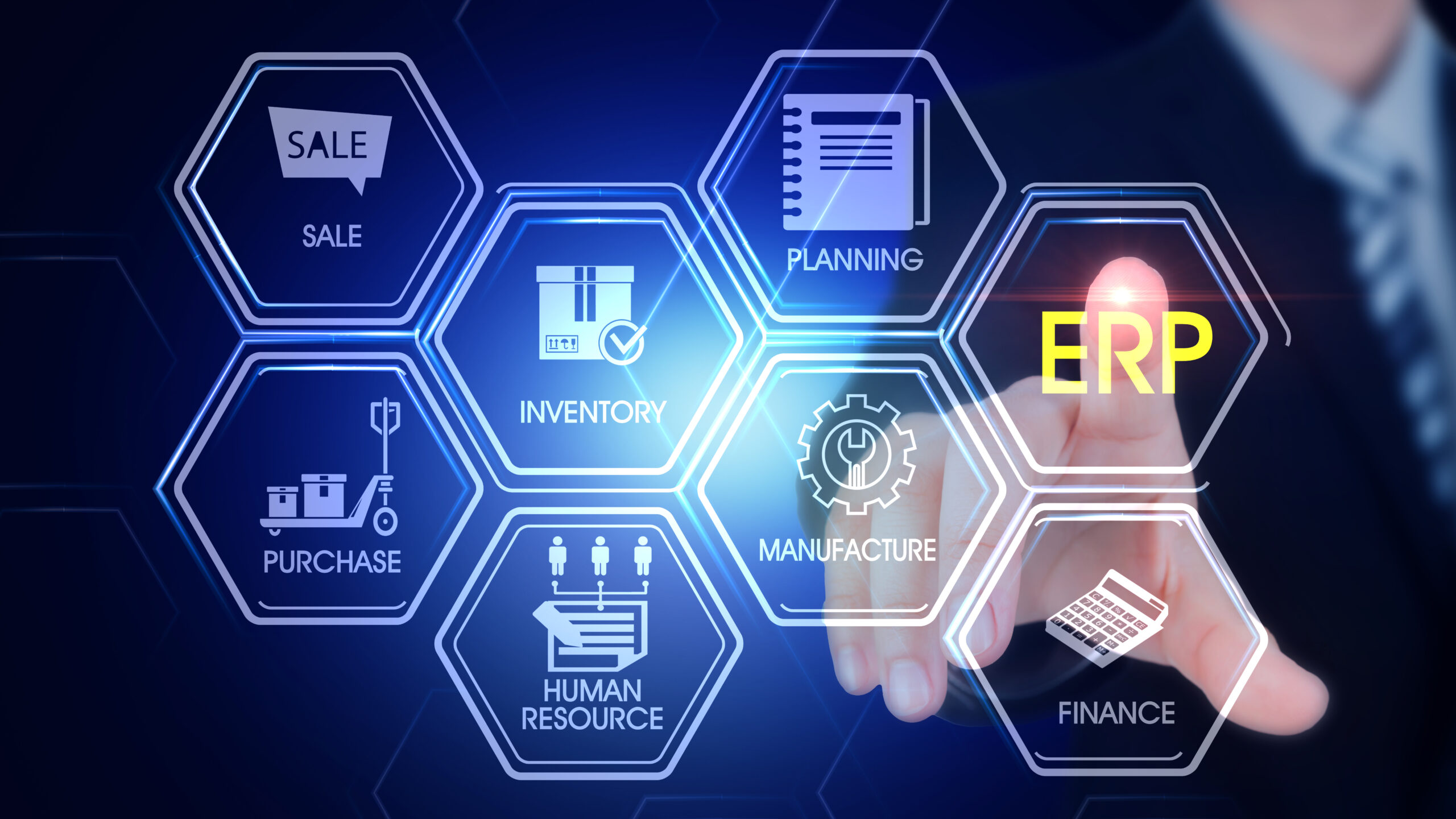 Why an ERP Expert is Essential ?